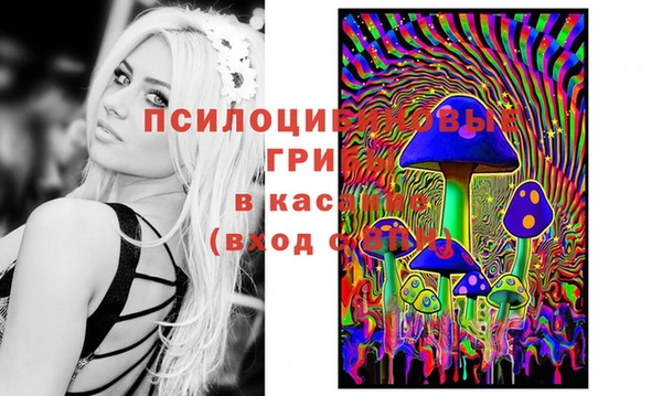 СК Баксан