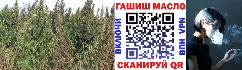 Дистиллят ТГК концентрат наркотики Югорск