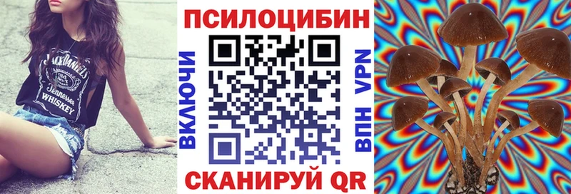 KRAKEN зеркало  Югорск  Псилоцибиновые грибы мицелий 